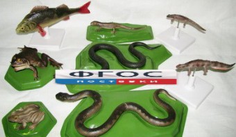 Комплект моделей "Позвоночные животные" (8 штук) - fgospostavki.ru - Казань