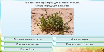 Интерактивные курсы. Окружающий мир 3 класс . Базовый. - fgospostavki.ru - Казань