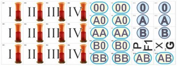 Модель-аппликация Генетика групп крови (демонстрационный набор из 34 карт) - fgospostavki.ru - Казань
