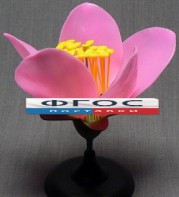 Модель "Цветок персика" - fgospostavki.ru - Казань