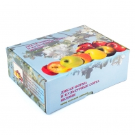 Набор муляжей "Дикая форма и культурные сорта яблок" - fgospostavki.ru - Казань