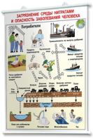 Плакаты по общей экологии для оформления кабинета. - fgospostavki.ru - Казань