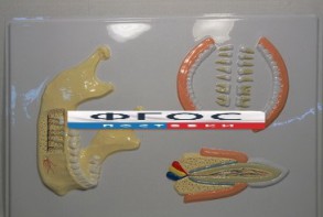 Модель барельефная "Челюсть человека" - fgospostavki.ru - Казань