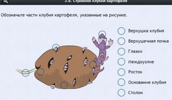 Интерактивные курсы. Биология 6 класс. Расширенный - fgospostavki.ru - Казань