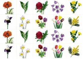 Комплект карточек "Запоминай, играй, считай" - Цветы - fgospostavki.ru - Казань