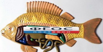 Модель барельефная "Внутреннее строение рыбы" - fgospostavki.ru - Казань