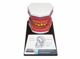 Демонстрационная модель "Ротовая полость курильщика" - fgospostavki.ru - Казань