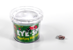 Бокс для наблюдения за насекомыми BUGV-01 - fgospostavki.ru - Казань