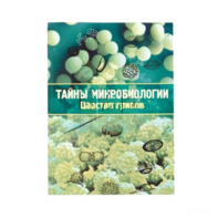 Набор «Тайны микробиологии» (Царство грибов) - fgospostavki.ru - Казань