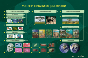 Электрифицированный стенд "Уровни организации жизни" - fgospostavki.ru - Казань
