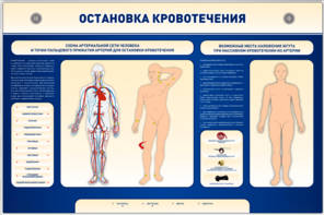Электрифицированный стенд-тренажер "Остановка кровотечения" - fgospostavki.ru - Казань