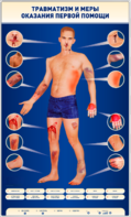 Электрифицированный стенд-тренажер "Травматизм и меры оказания первой помощи" - fgospostavki.ru - Казань