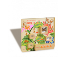 Панель «Жизненный цикл бабочки» - fgospostavki.ru - Казань