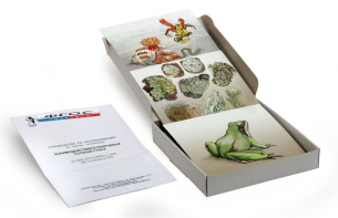 Модель-аппликация "Взаимодействия в природных сообществах" (набор из 23 карт) - fgospostavki.ru - Казань