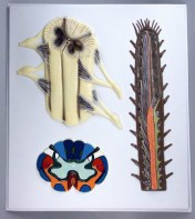 Модель барельефная "Строение спинного мозга" - fgospostavki.ru - Казань