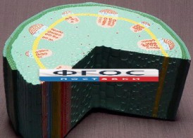 Модель "Стебель растения" - fgospostavki.ru - Казань