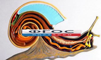 Модель барельефная "Внутреннее строение брюхоногого моллюска" - fgospostavki.ru - Казань