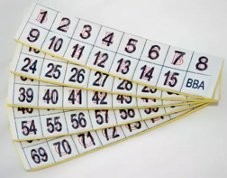 Фишки для игры «Бинго» со шрифтом Брайля - fgospostavki.ru - Казань