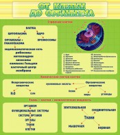 Стенд "От клетки до организма" - fgospostavki.ru - Казань