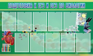 Стенд "Подготовка к ЕГЭ и ОГЭ по биологии" Вариант 2 - fgospostavki.ru - Казань