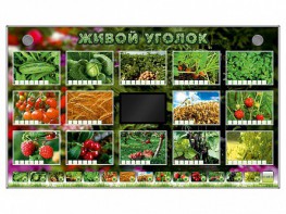 Комплект оборудования "Живой уголок" (растения) - fgospostavki.ru - Казань