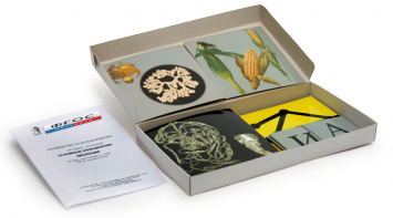 Модель-аппликация "Основные направления эволюции" (набор из 33 карт) - fgospostavki.ru - Казань