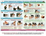 Комплект плакатов "Оказание первой доврачебной медицинской помощи" - fgospostavki.ru - Казань
